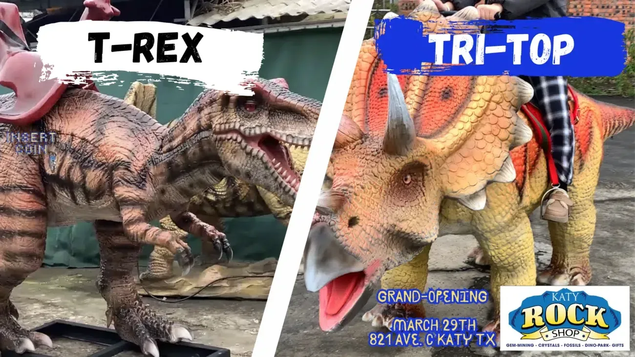 Dino Park Grand Opening